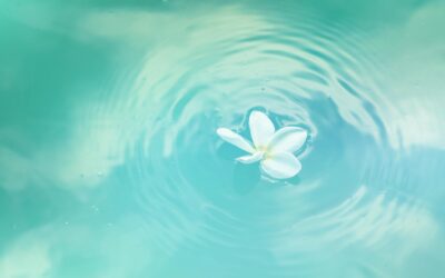 Les pouvoirs insoupçonnés de l’eau pour une peau éclatante